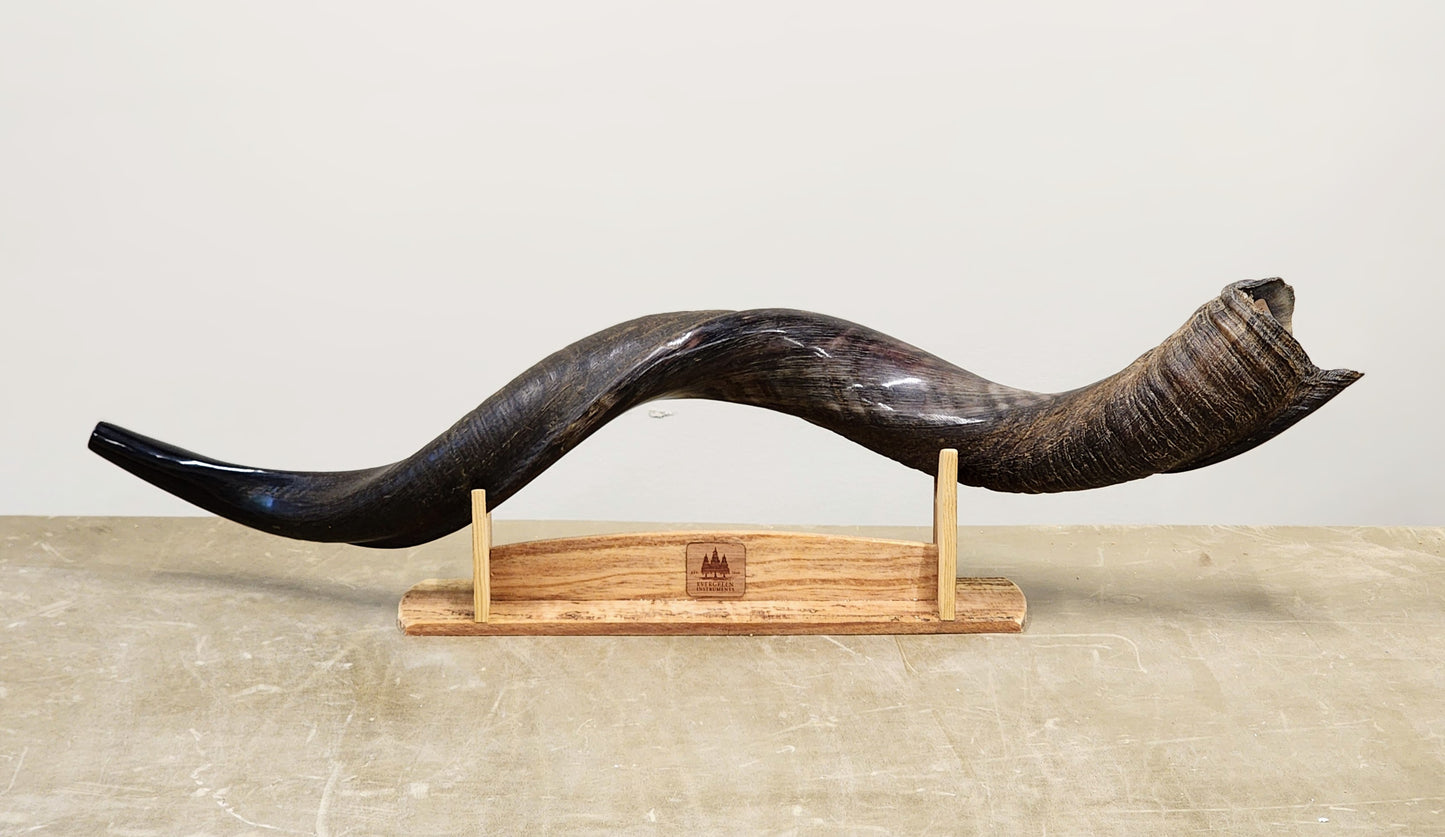 Yemenite Shofar