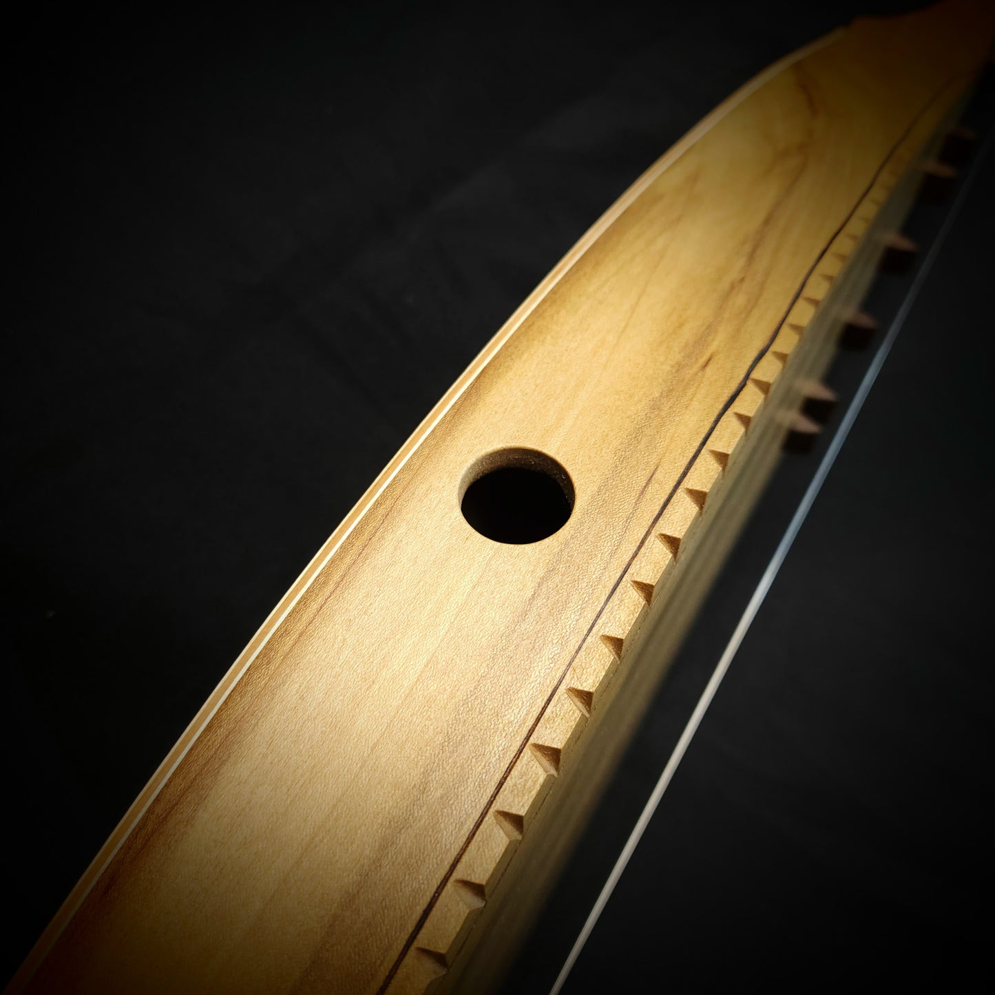 The Philippine Boat Lute