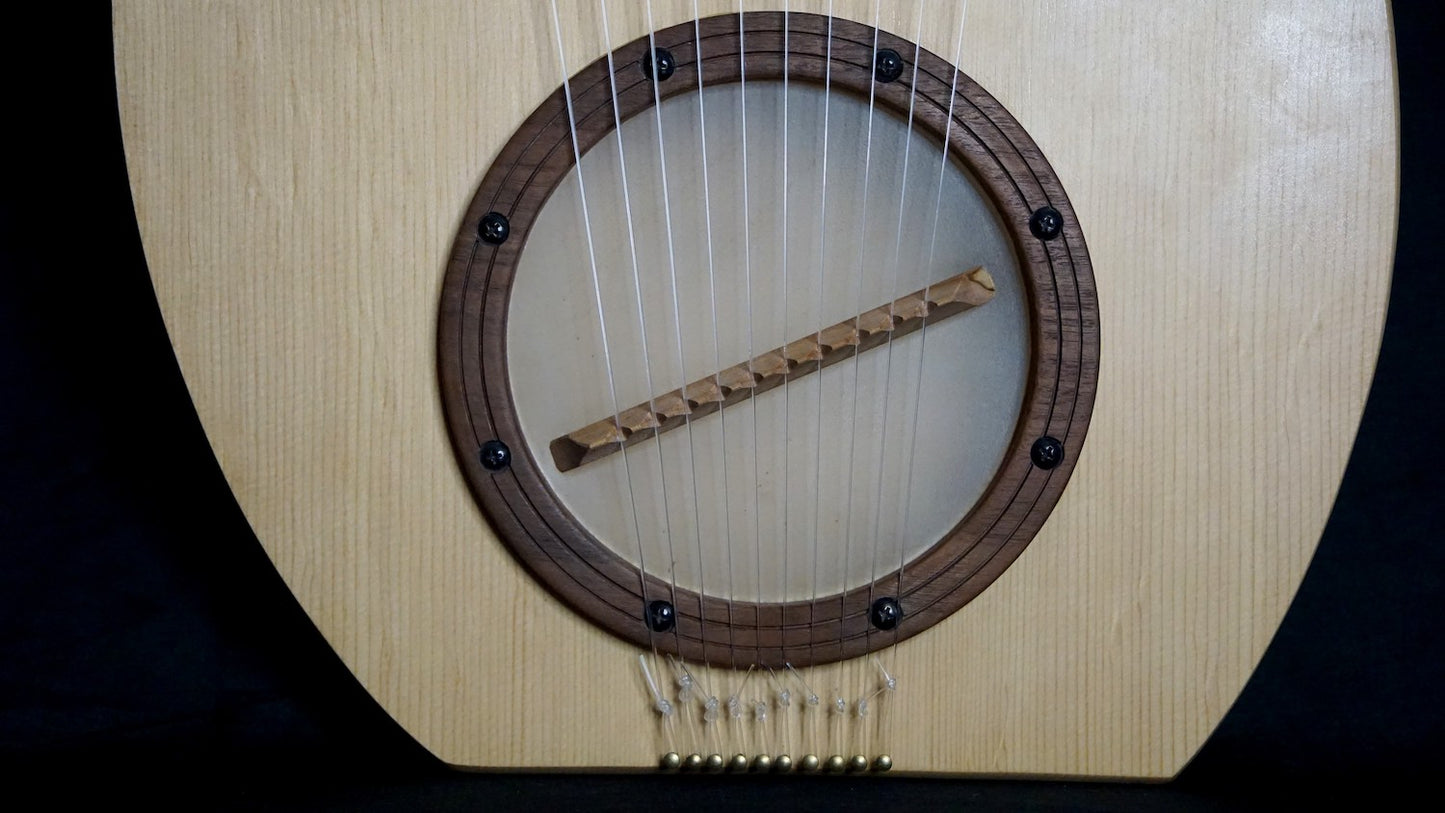 Goat Skin Resonator of 10 Stringed harp