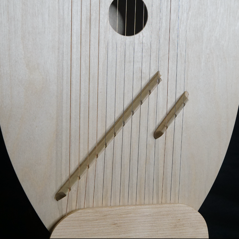 David's Harp- 14 Stringed - Handmade in USA by Evergreen