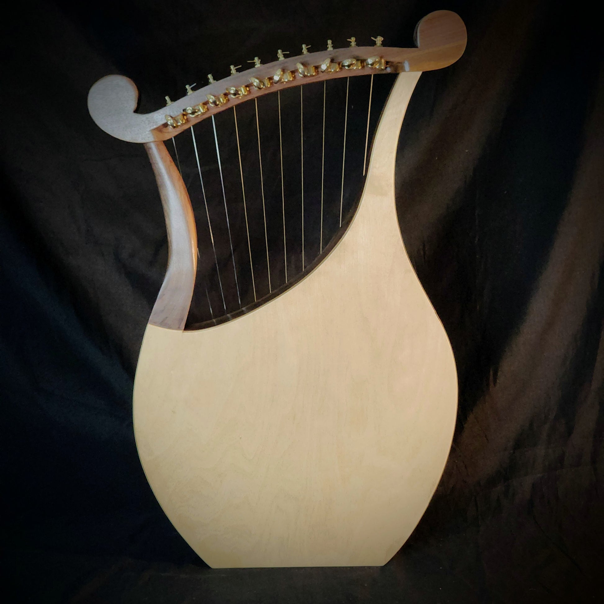 Harp of David back