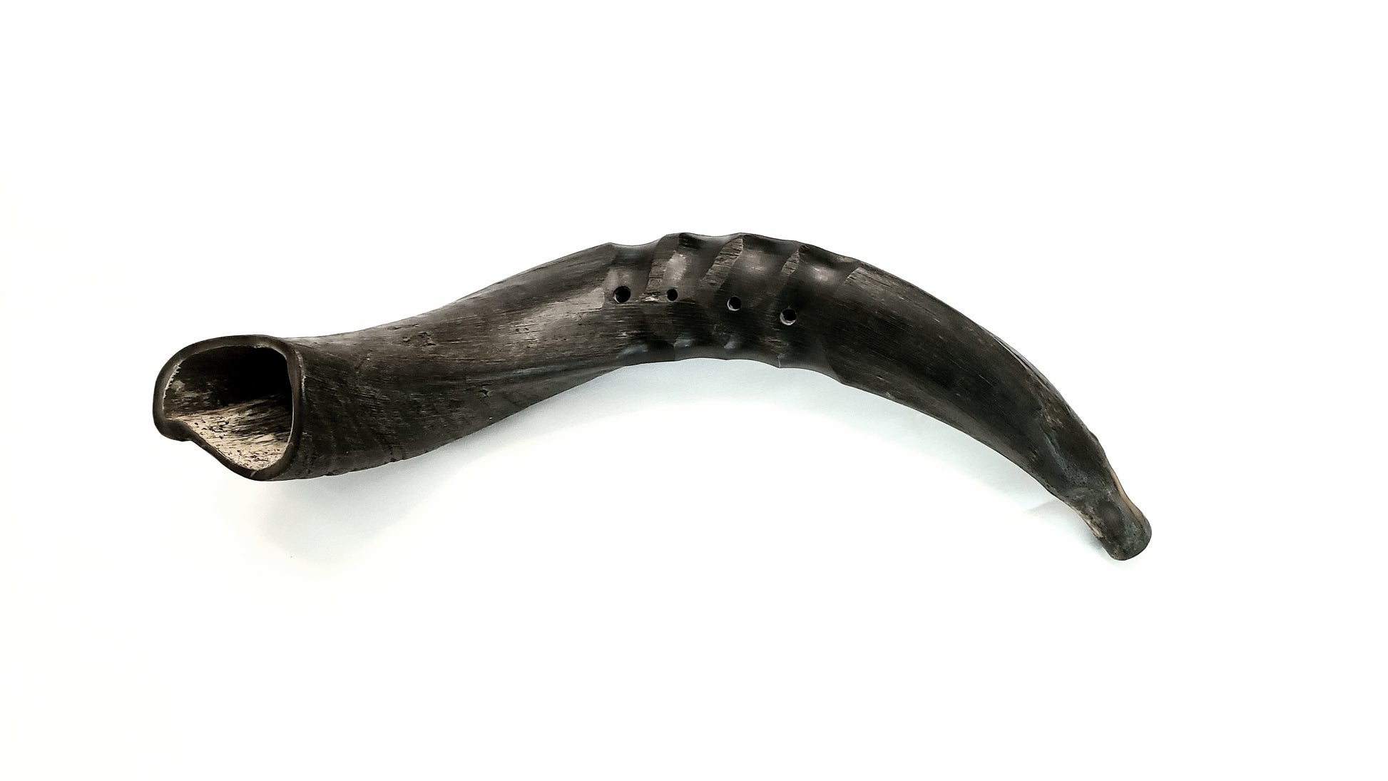 Bukkehorn- Deep Viking War Horn: top view