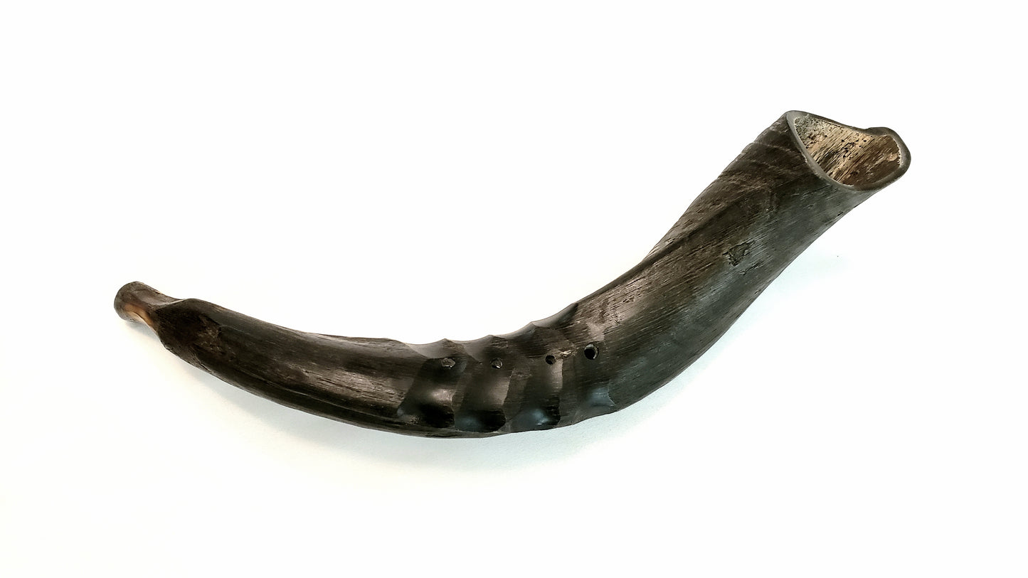 Bukkehorn- Deep Viking War Horn: front view