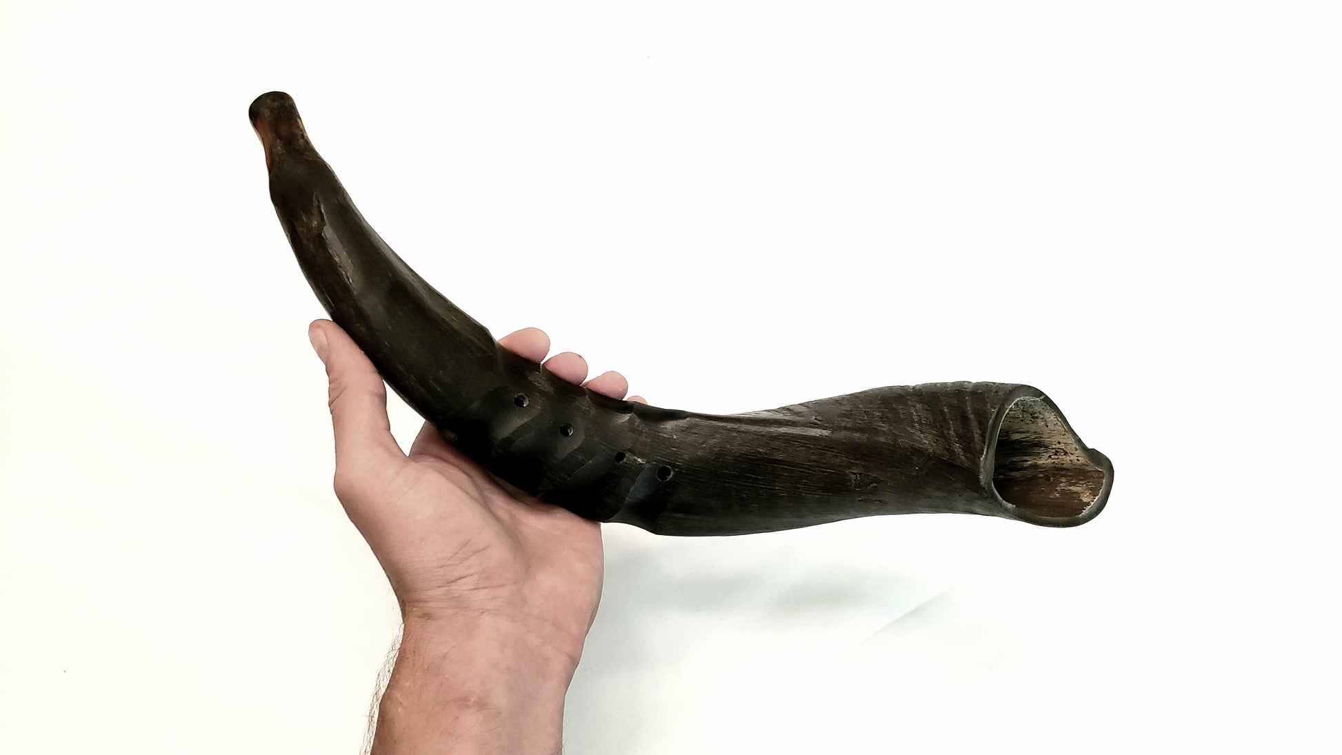 Bukkehorn- Deep Viking War Horn: Compared to Hand