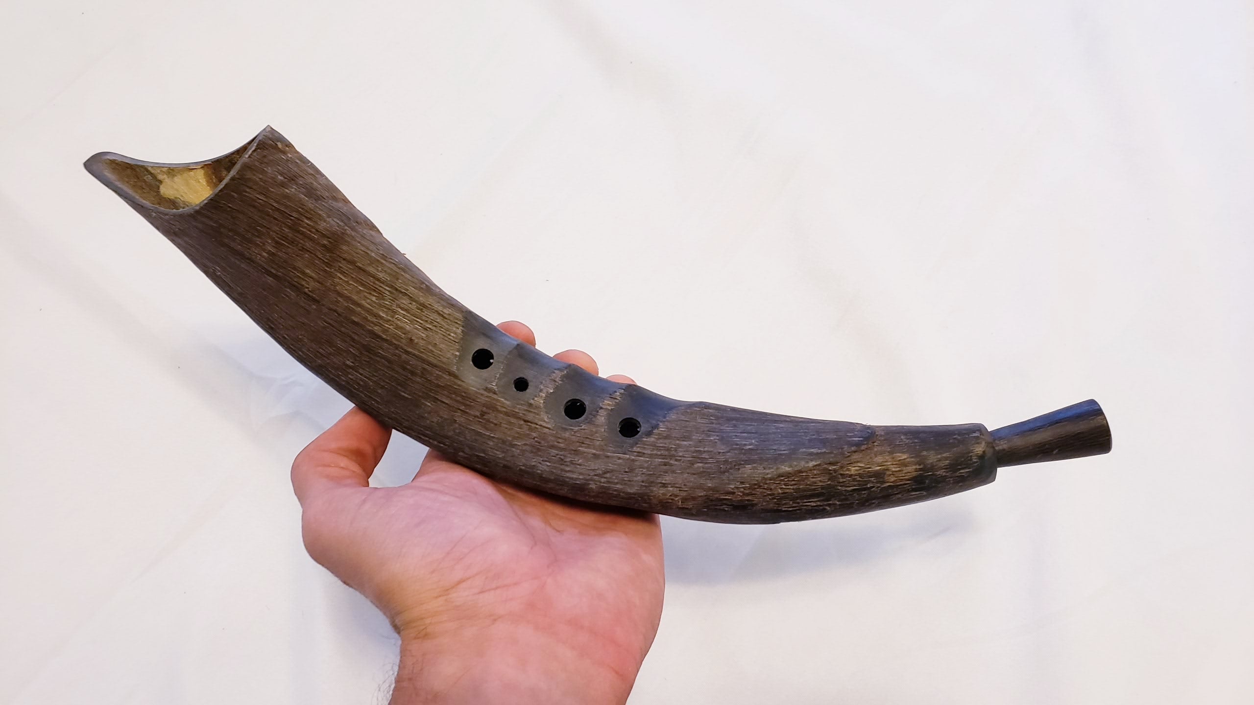 Nordic shop horn instrument
