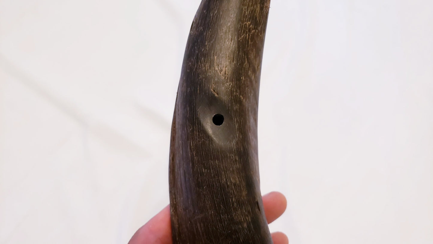 Bukkehorn - Viking War Horn: Bottom Hole