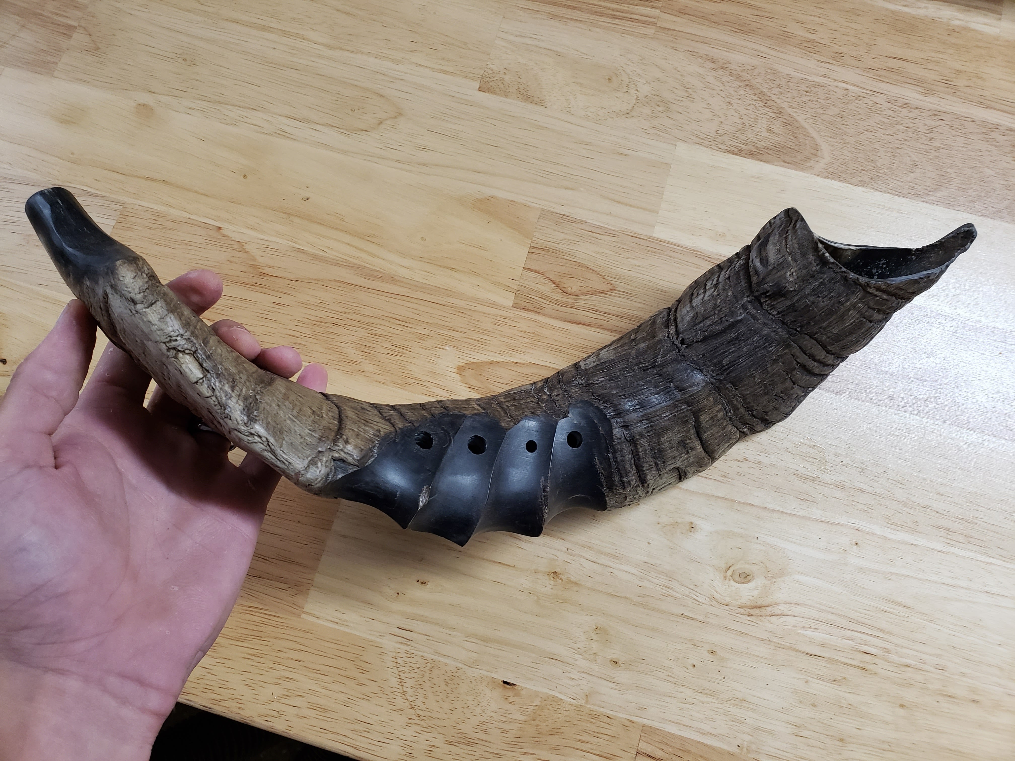 Goat horn instrument deals